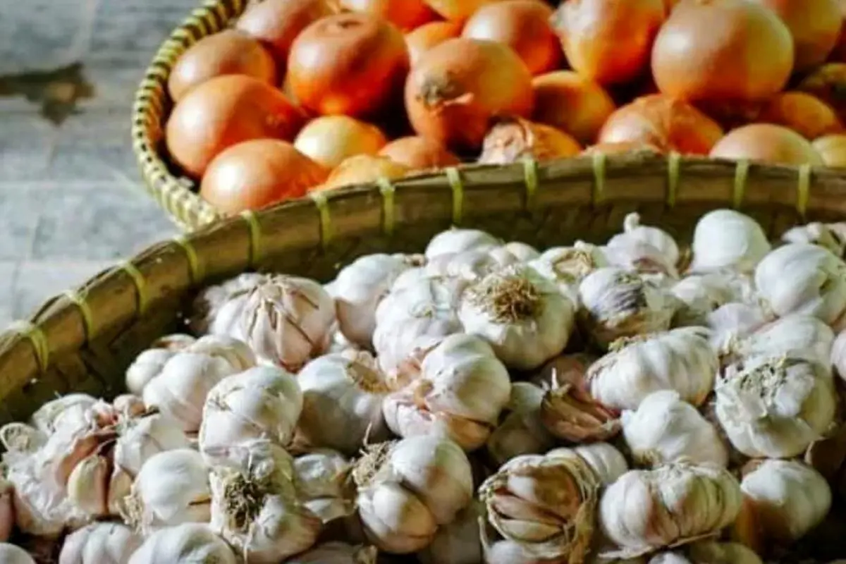 پیاز و سیرتان مدام جوانه میزند؟  | جوانه زدن پیاز و سیر را با این ترفند جادویی متوقف کنید